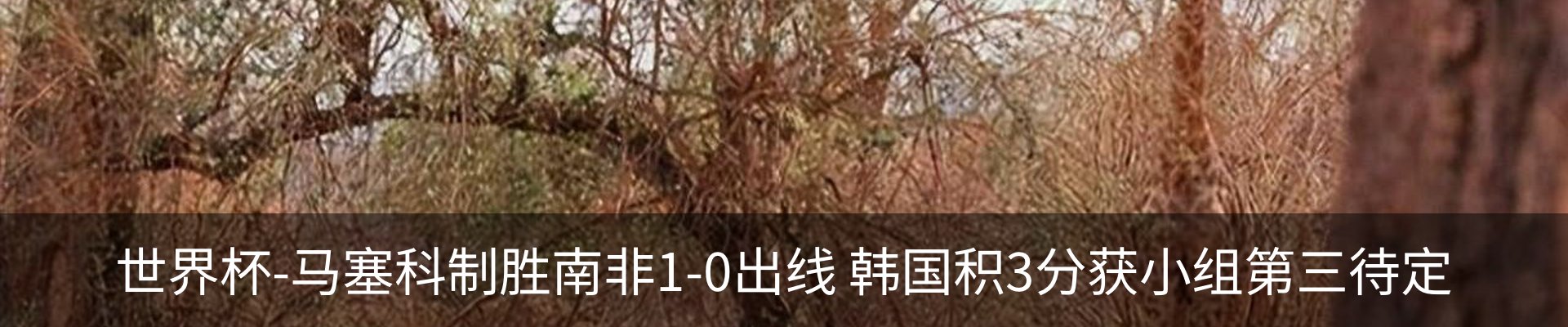 新闻中心