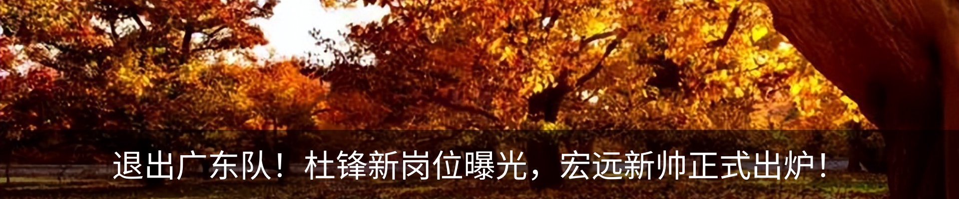 新闻中心
